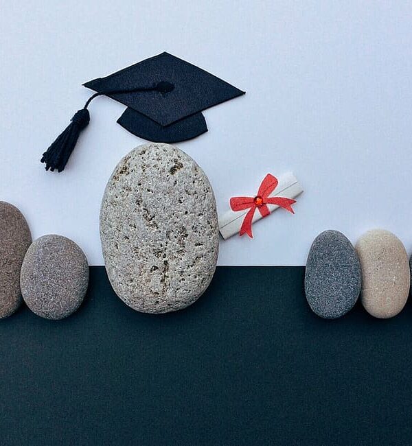 universita-studi-educazione-dominio_tldomains.org